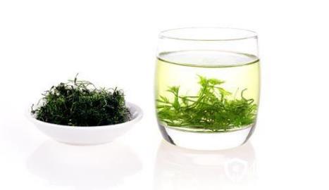 绞股蓝茶的营养价值与食用禁忌_绞股蓝茶的营养成分与性征用法