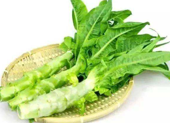 莴苣的作用与功效价值_莴苣的药用价值、吃法与食疗方