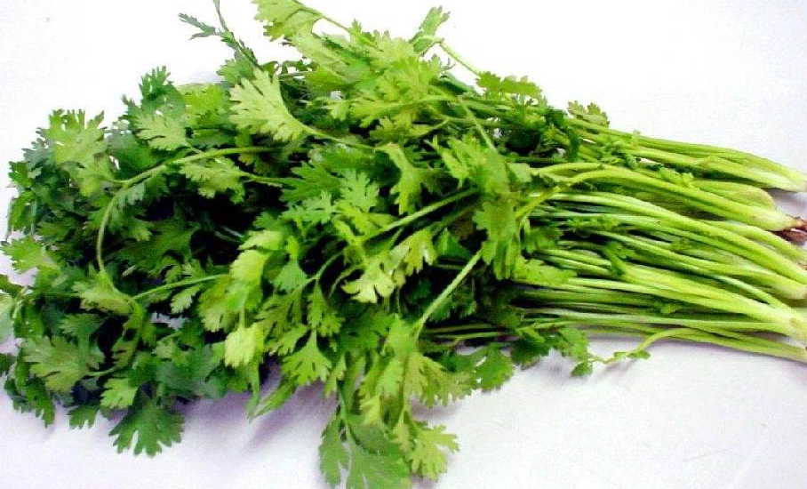 香菜的作用与功效价值_香菜的药用价值、吃法与食疗方