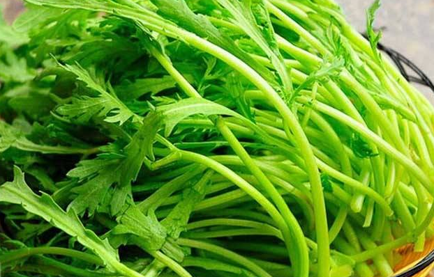 茼蒿的性味归经与作用功效禁忌_营养价值与成分药理
