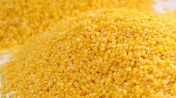 小米的禁忌人群与作用功效_什么人不能吃 不宜同吃食物