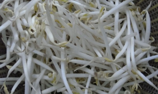 绿豆芽的禁忌人群与作用功效_什么人不能吃 不宜同吃食物