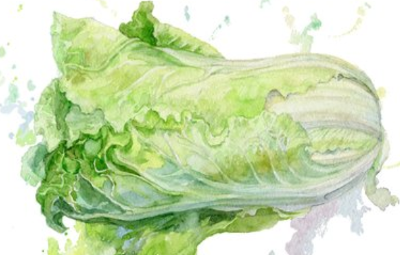 白菜的禁忌人群与作用功效_什么人不能吃 不宜同吃食物
