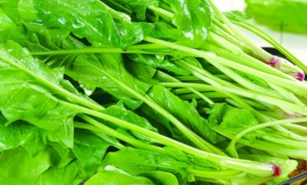 菠菜的禁忌人群与作用功效_什么人不能吃 不宜同吃食物