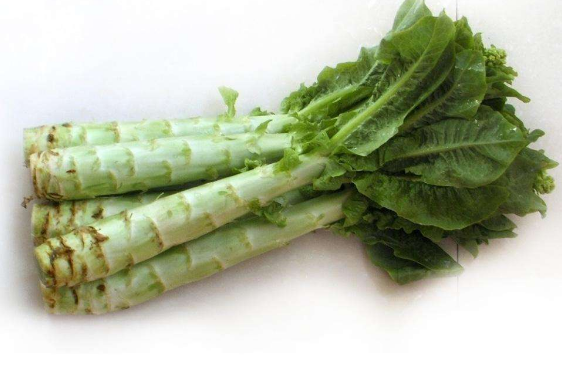 苣荬菜花的性味归经与作用功效禁忌_营养价值与成分药理