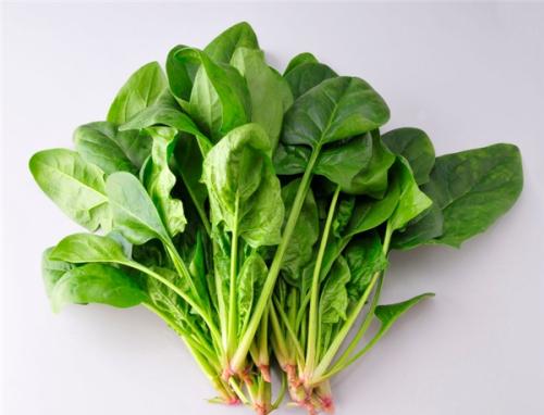 菠菜不能和什么一起同吃_与菠菜相宜相克的食物有哪些
