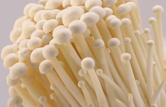 金针菇的性味归经与作用功效禁忌_营养价值与成分药理