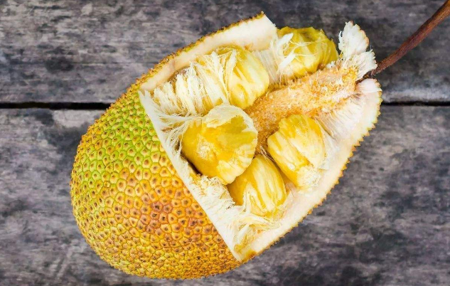 菠萝蜜的性味归经与作用功效禁忌_营养价值与成分药理
