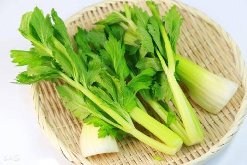 芹菜不能和什么一起同吃？与芹菜相宜相克的食物有哪些