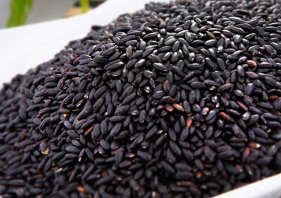 黑大豆的性味归经与作用功效禁忌_营养价值与成分药理