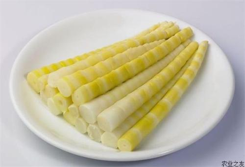 竹笋不能和什么一起同吃？与竹笋相宜相克的食物有哪些