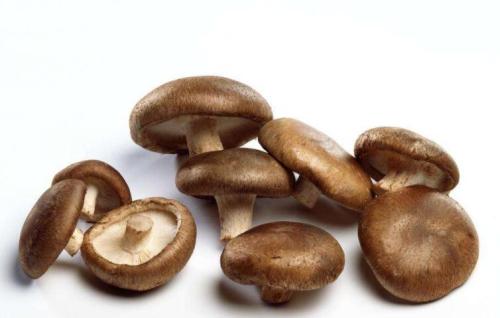 香菇不能和什么一起同吃？与香菇相宜相克的食物有哪些