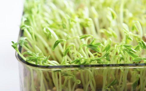 绿豆芽不能和什么一起同吃？与绿豆芽相宜相克的食物有哪些