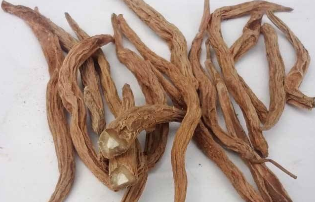 中药百部有毒吗？百部毒理、中毒剂量与中毒反应