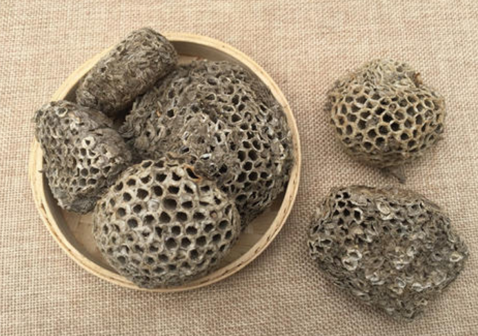 中药露蜂房有毒吗？露蜂房毒理、中毒剂量与中毒反应