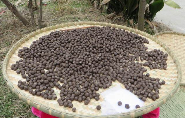 更衣丸汤头歌诀方歌与配方组成_来源、用法与临床应用