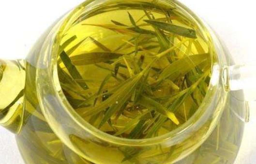 竹叶柳蒡汤方歌趣记歌诀与方解_速记口诀与运用要点