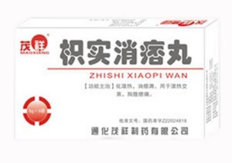 枳实消痞丸方歌趣记歌诀与方解_速记口诀与运用要点