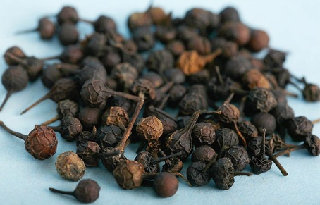 荜澄茄药性歌诀口诀_荜澄茄性味归经歌括