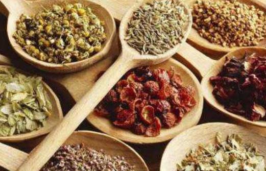 小续命汤方歌趣记歌诀与方解_速记口诀与运用要点