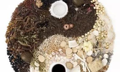 人参蛤蚧散的组成与功效作用、加减_治疗的疾病有哪些