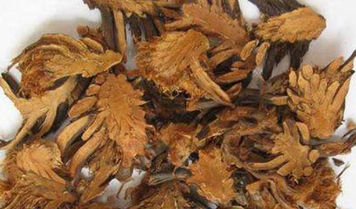 如圣散方歌趣记歌诀与方解_速记口诀与运用要点