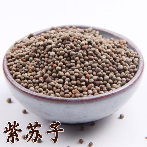 汪履秋苏子降气汤加减方治疗肺源性心脏病医案