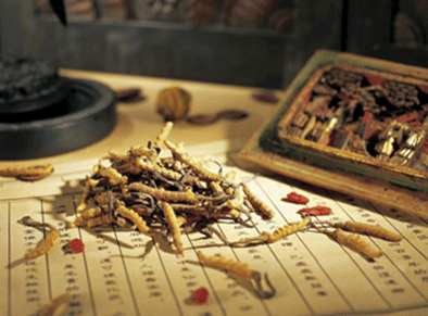 靳士华补肾填精方治疗骨关节结核医案