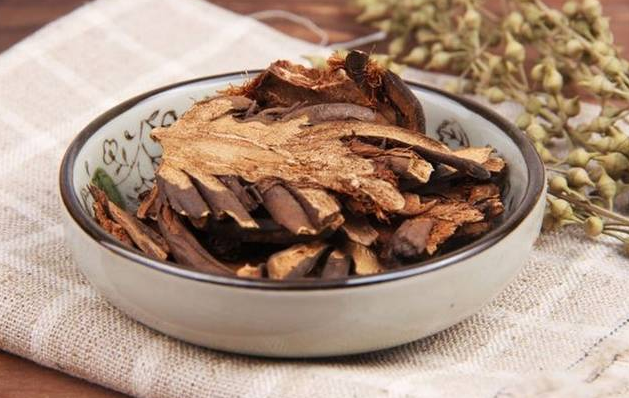 杨秀姣活血通经汤治疗膝关节滑膜炎医案