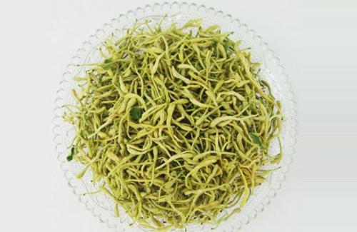 温如丰清肺止咳化痰汤治疗急性支气管炎医案