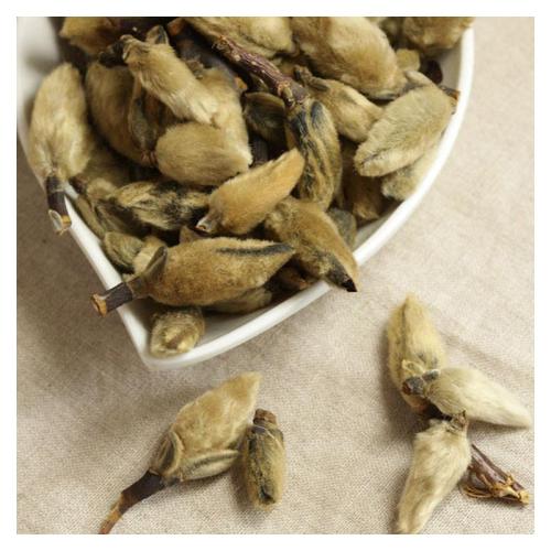宋爱国苍夷鼻炎汤治疗慢性鼻炎医案