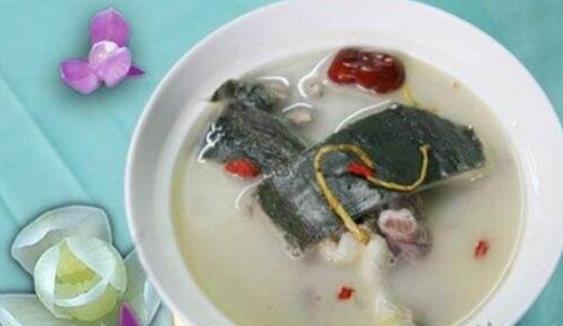 胡晓峰鳖甲三虫汤治疗肝硬化医案