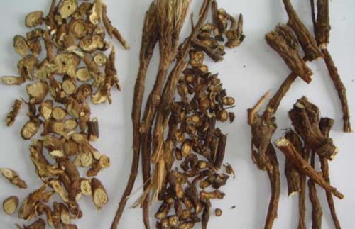 王立君过敏煎加味治疗哮喘医案