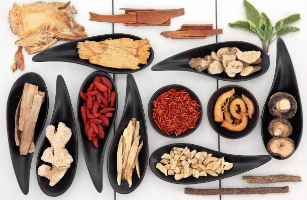 朱良春益母降压汤治疗老年高血压病医案