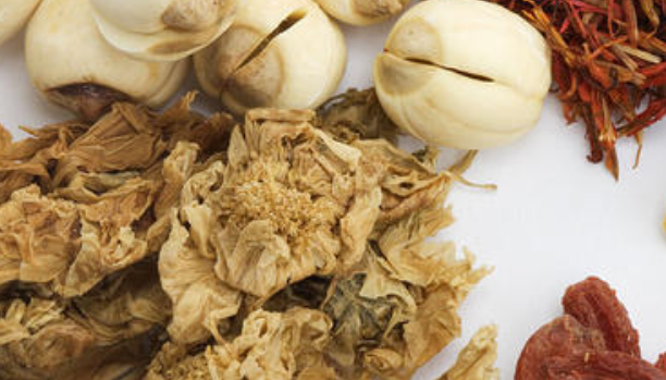 参鹿龟汤的作用功效、配方组成、方解与加减