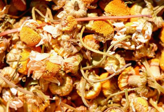 王巧明化瘀涤浊方治疗脂肪肝医案