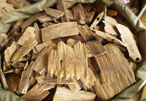 吴凤霞沉香降气汤治疗阻塞性肺气肿医案