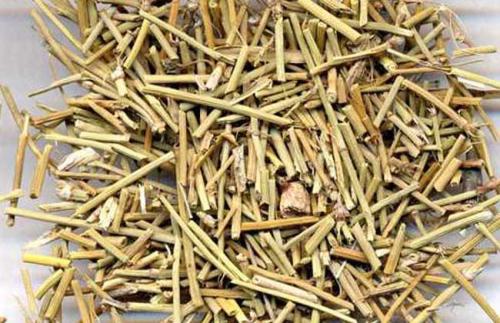 小续命汤的神奇功效与作用_组成、功用主治与现代新用途