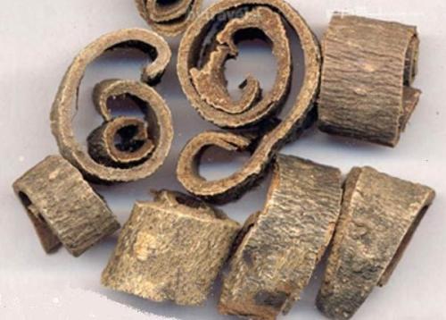 连朴饮的神奇功效与作用_组成、功用主治与现代新用途