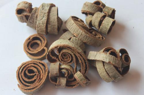 实脾散的神奇功效与作用_组成、功用主治与现代新用途