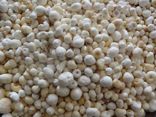 十味温胆汤的神奇功效与作用_组成、功用主治与现代新用途