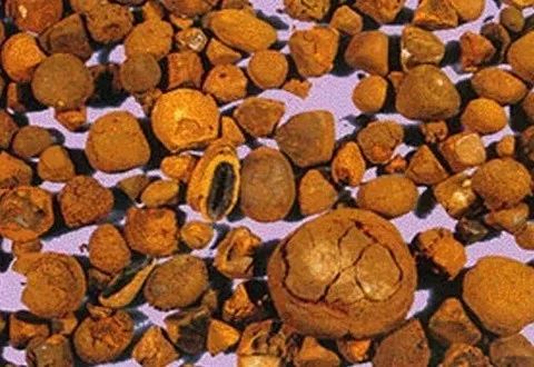 犀黄丸的神奇功效与作用_组成、功用主治与现代新用途