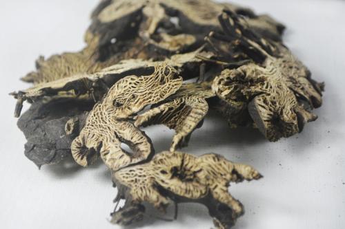 升麻葛根汤的神奇功效与作用_组成、功用主治与现代新用途