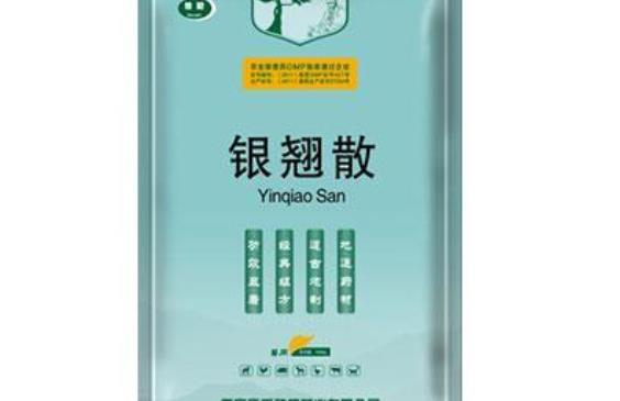 徐忠良银翘散加味治疗玫瑰糠疹医案