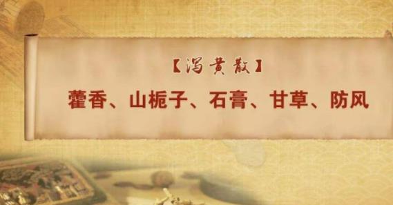 钟江泻黄散加味治疗脂溢性皮炎医案