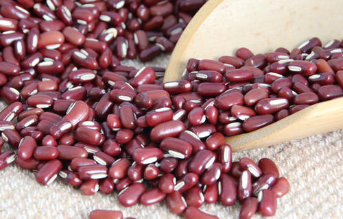 赤豆当归散原文用法用量与原方组成注解