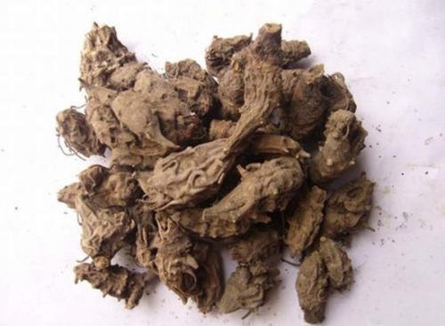 乌头赤石脂丸原文用法用量与原方组成注解