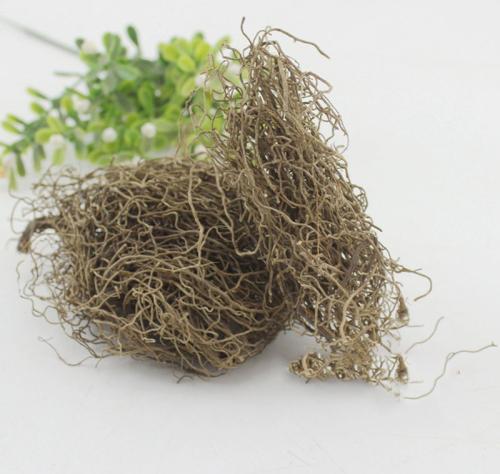 麻黄升麻汤原文用法用量与原方组成注解