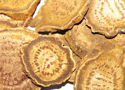 大黄硝石汤原文用法用量与原方组成注解