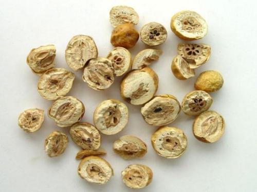 金铃子散证病机、汤证脉症、汤证诊断要点